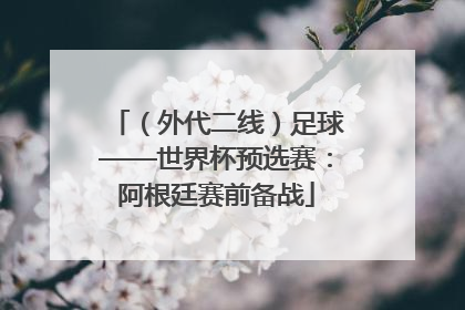 （外代二线）足球——世界杯预选赛：阿根廷赛前备战